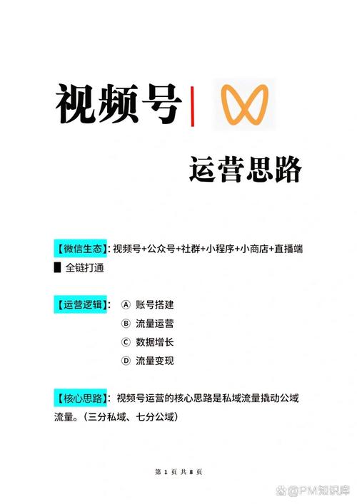 为什么选择视频号和快手?快速涨粉的关键之路
