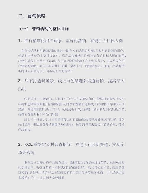 网营销,策略与实践指南