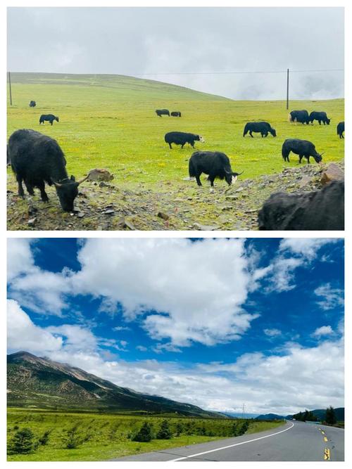 稻城旅游疫情防控指南