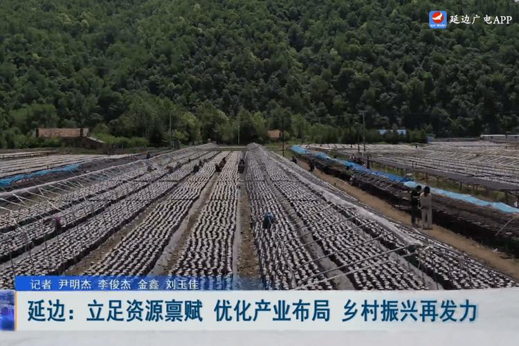 延边地区网站优化指南