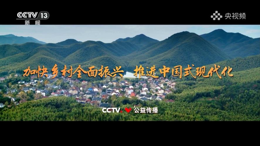 驾驶乡村振兴之途,开启大兴黄村的美好篇章