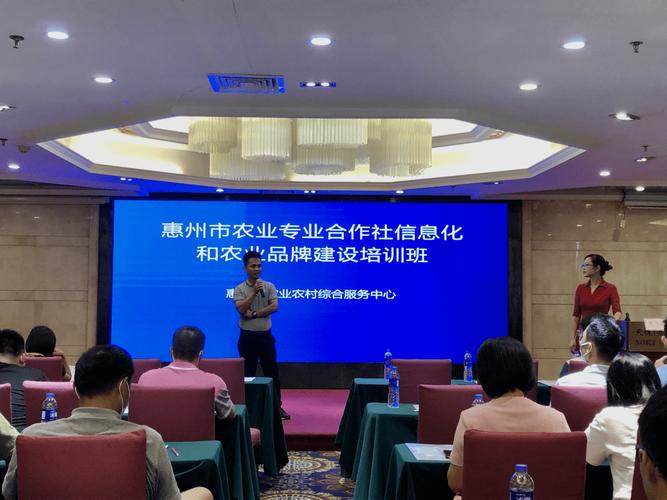 如何在惠东打造高效手机网站