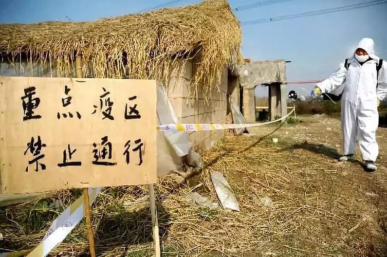 图卢兹疫情最新动态,封锁措施、隔离政策、医疗资源怎么用?