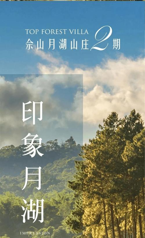 松江佘山SEO优化指南，打造优质网站，吸引更多游客