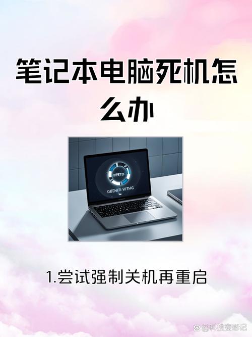 电脑死机,手提电脑无线上网,解决方法与原因分析