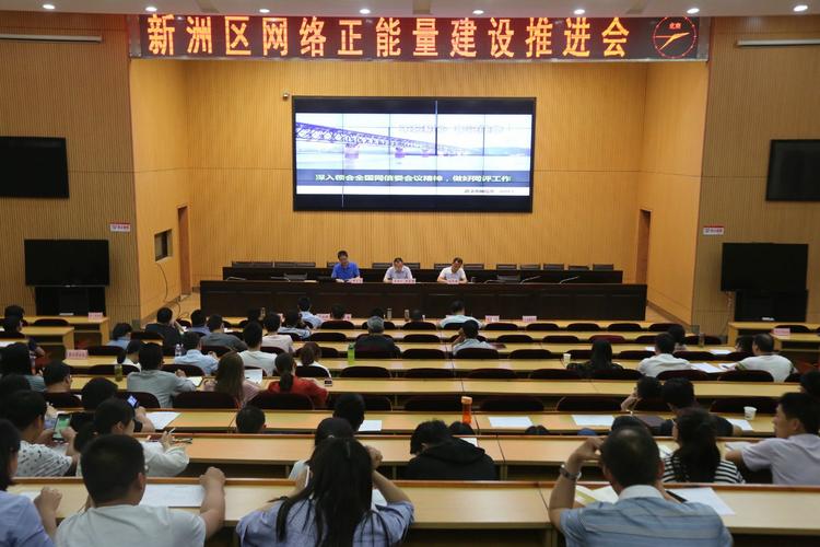 新洲网络优化,助力您的互联网事业