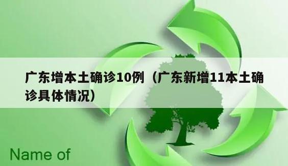 湛江疫情最新消息,全球关注点与应对措施