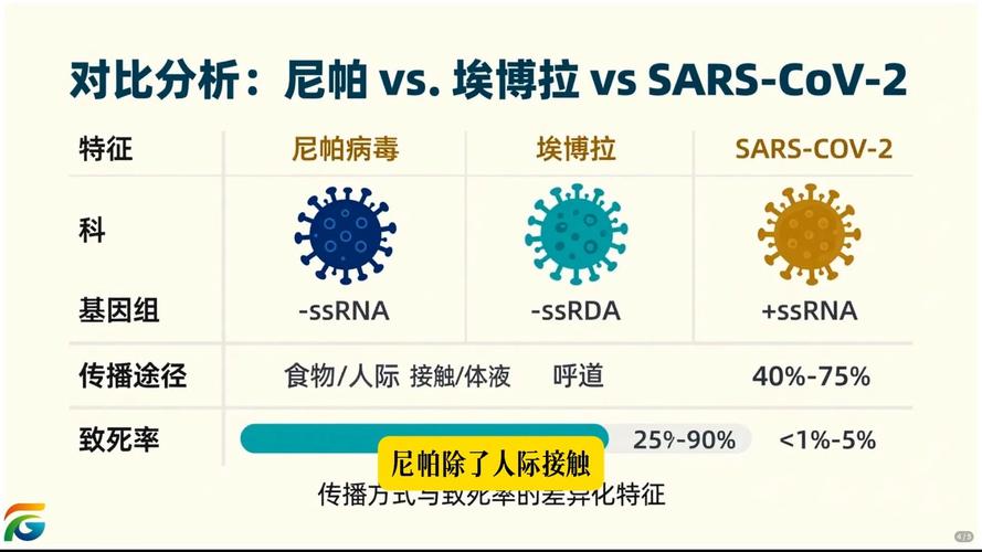 印度麻疹疫情最新，防控指南与健康建议