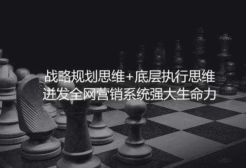 丽水网络公司,市场价值与成功秘诀