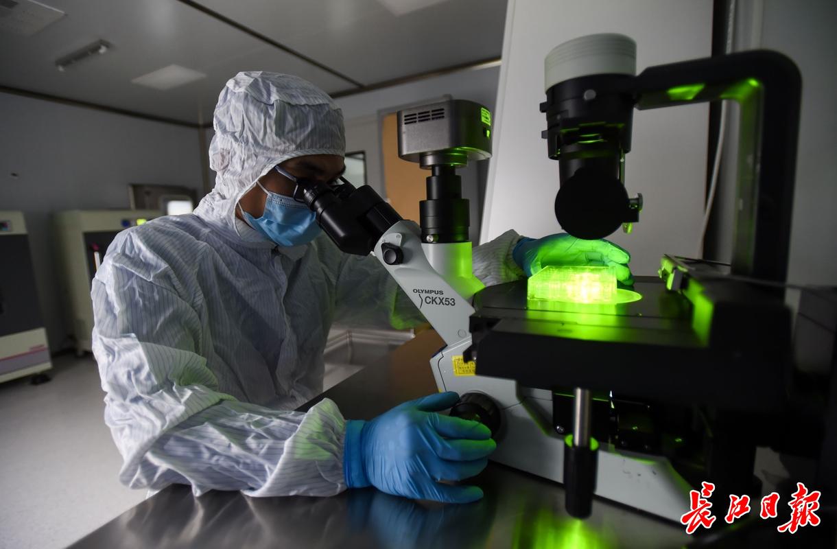 天津小沙窝疫情最新消息,全球首例病毒基因研究
