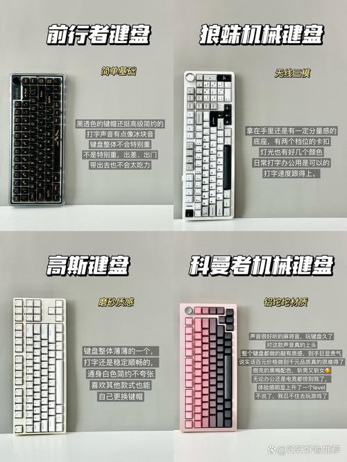 电脑测名，玩转异界
