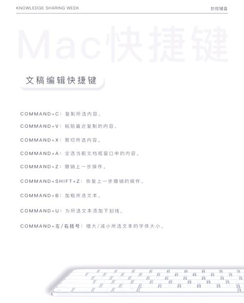 电脑日记软件指南,苹果手写电脑完美解决方案