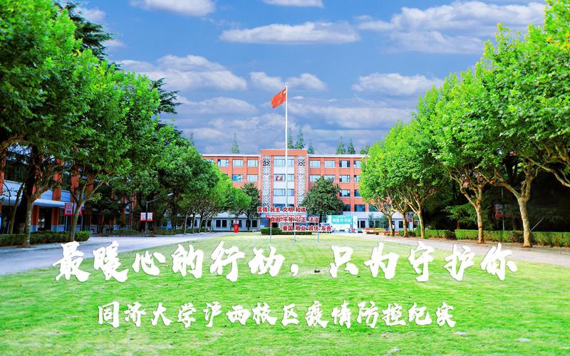 沪西疫情最新动态,防范指南与应对措施