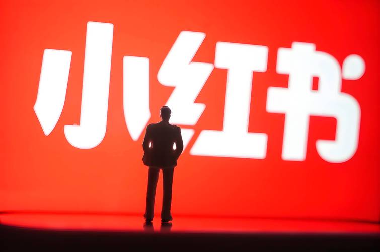 小红书自助点赞下单平台，助力用户高效转化