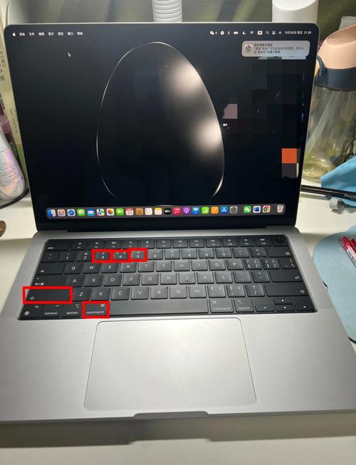 卡美欧平板电脑与电脑键盘钢琴，全面解析与实用技巧