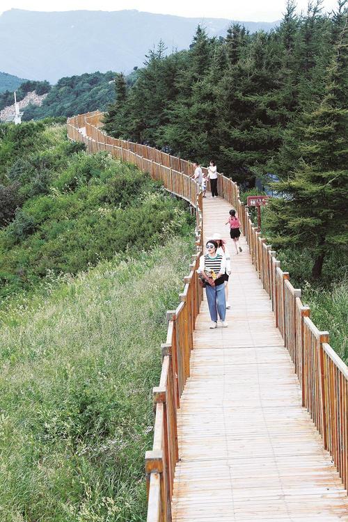 甜水园旅游网站，如何打造高效旅游平台