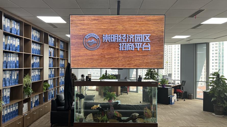 王区网络策划推广公司