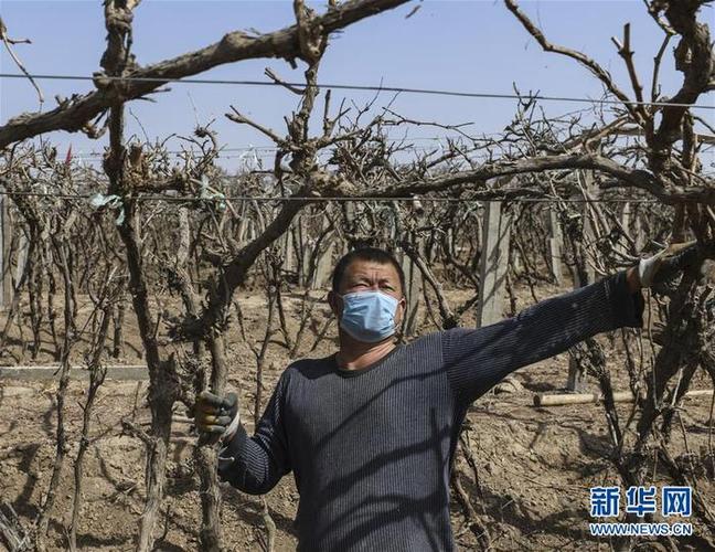 鄯善市最新疫情指南