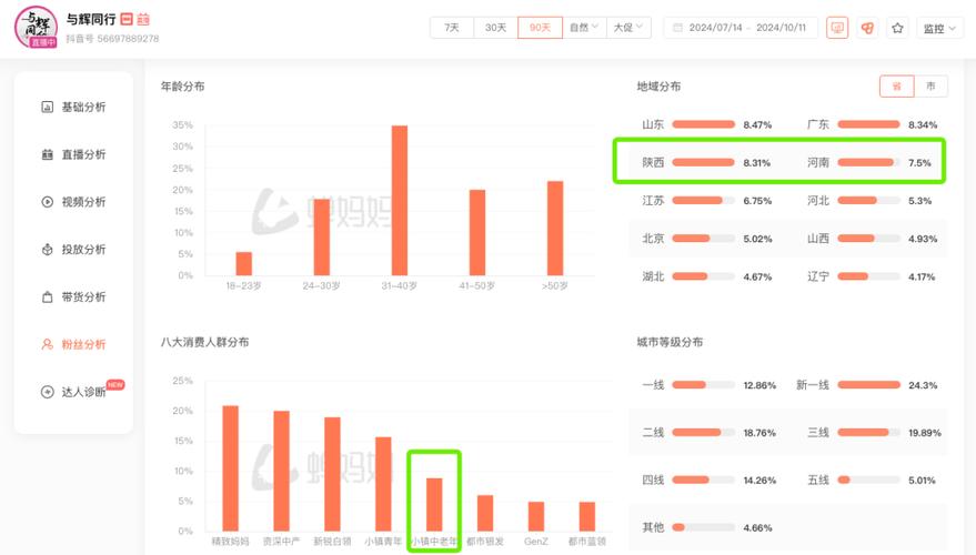 技术实现与策略案例，抖音刷赞与dy播放量，精准转化之路，策略与案例