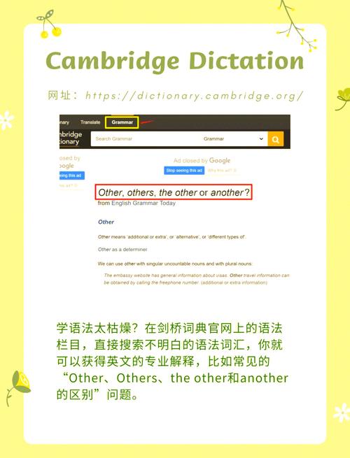 如何打造高质量的英文网站？SEO优化才是关键！