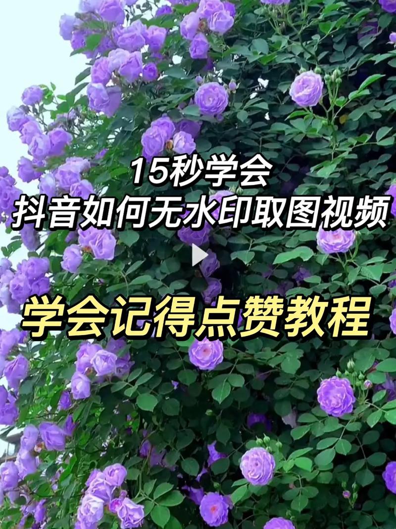 如何在抖音双击中获得高曝光量？KS代秒赞的全解析！