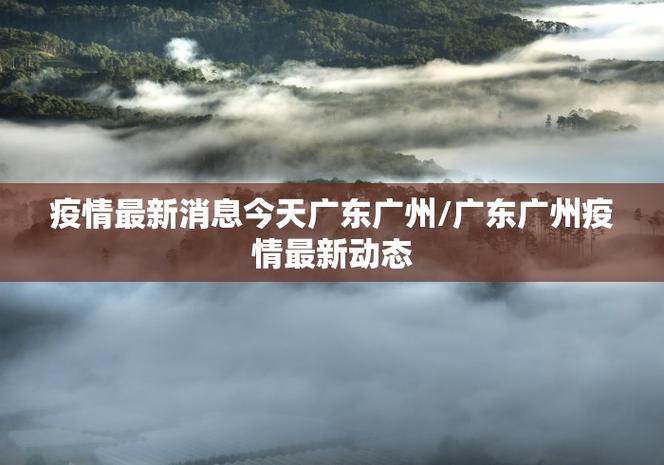 广州疫情最新消息，疫情防控新挑战