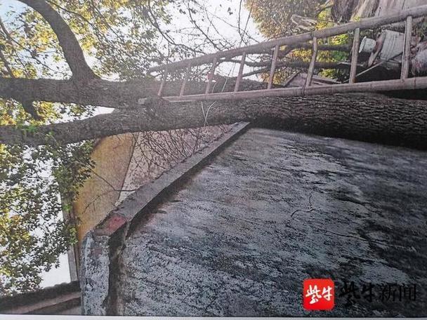 疫情前的边城宾馆，危机中的危机管理