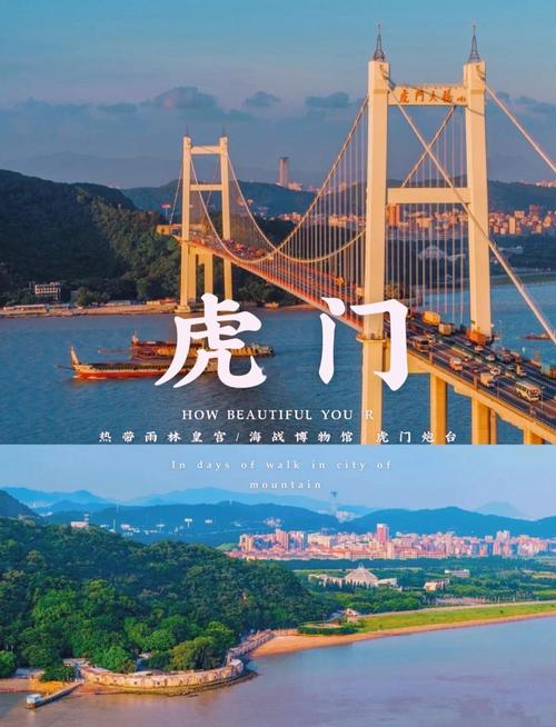 虎门哪家网络好？哪个平台最火？