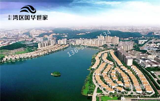 虎门哪家网络好?哪个平台最火?
