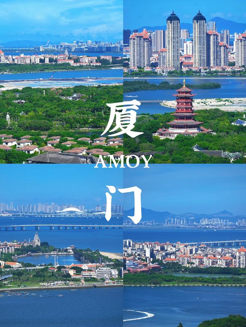 厦门，网络发展中的地理优势与本地化之选