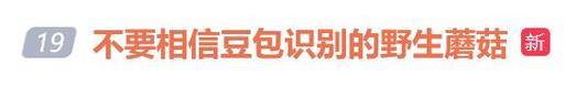 网易抖音秒刷业务平台 微信代刷平台,如何快速上手 建设 profitable 服务
