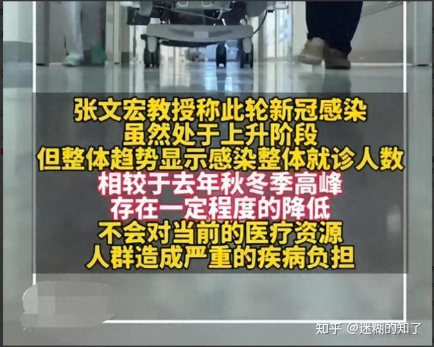 沙市疫情最新动态，防控措施与公众影响