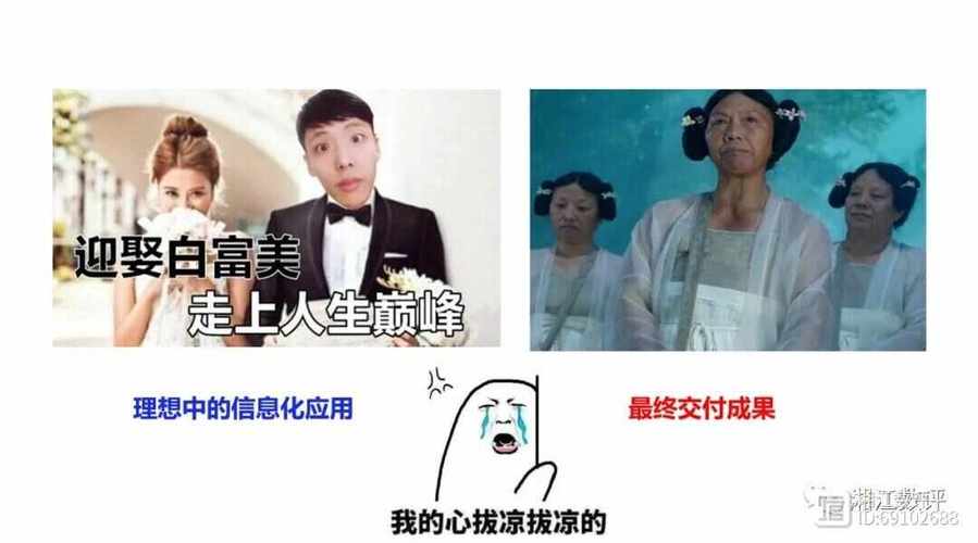 女孩在成都的破局之道,如何在数字化转型中找到自我