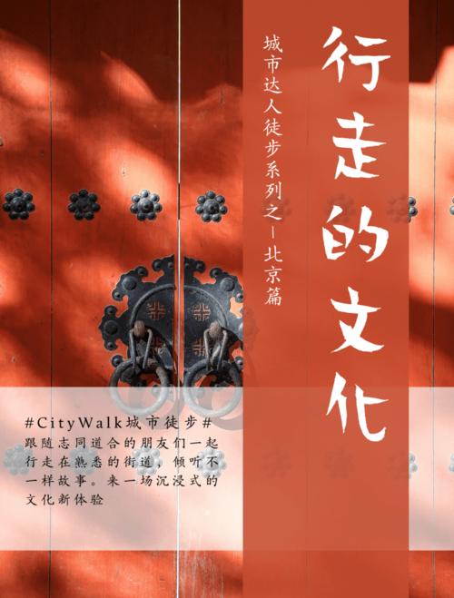 张家王网络公司,开启新的商业城市之旅—解析其在互联网与文化结合中的独特价值