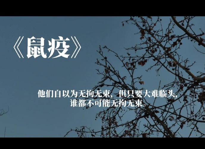 康定市鼠疫疫情最新消息