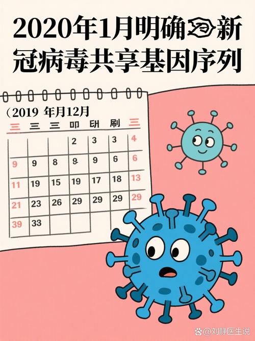 疫情的开始