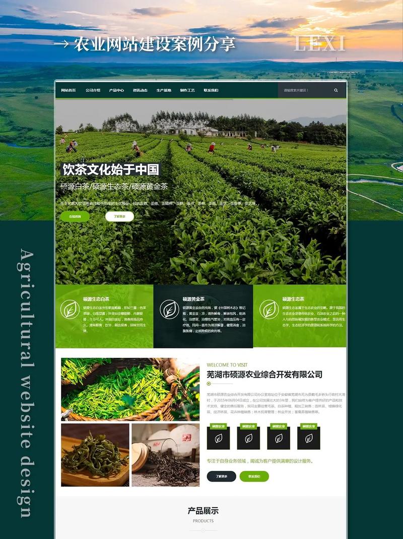 和田网站建设,从基础到智慧的未来