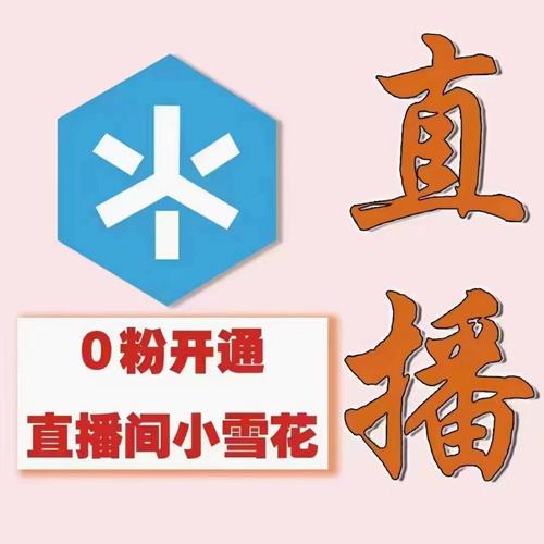 制作,抖音与KSS业务资源的全 ruins指南