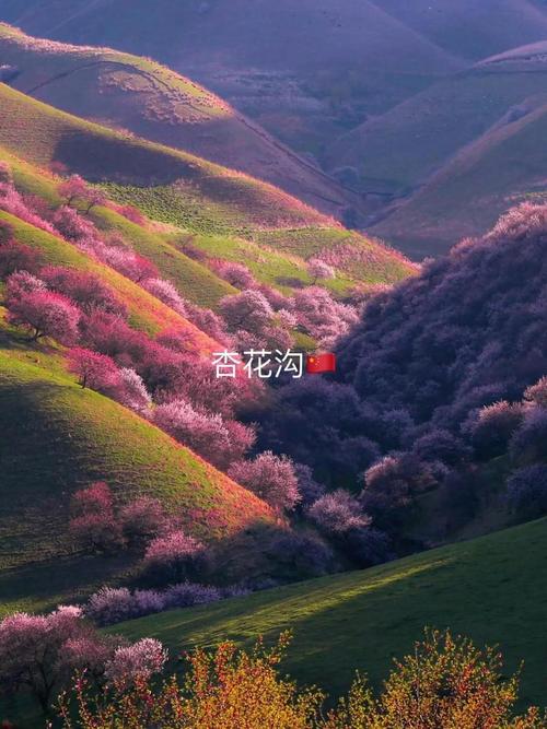 患疫情期间伊犁景区最新消息