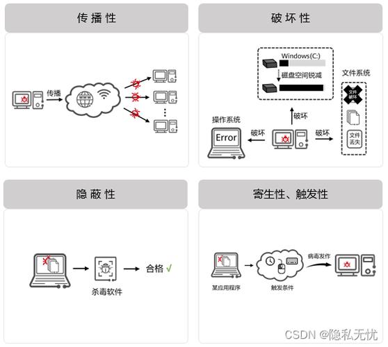 电脑体检,全面解析最新病毒威胁