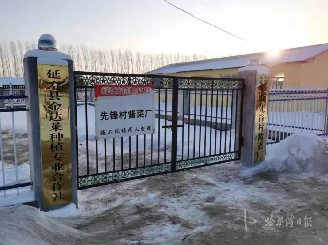 哈尔滨网络制作公司,选你身边的互联网先锋