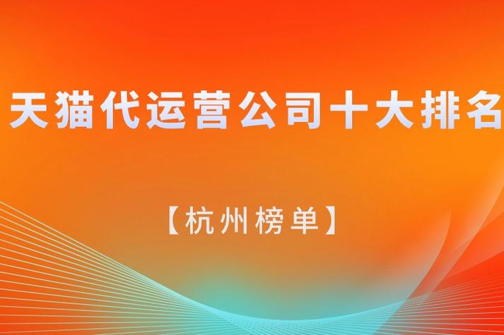 企业规划与运营,杭州公司成功经验指南