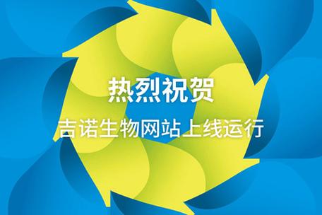 上海网站建设公司，助力网站走向成功