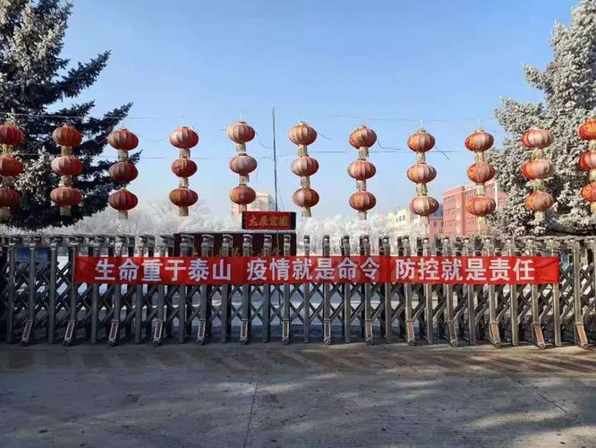 庆安疫情最新消息,疫情分析与防控策略
