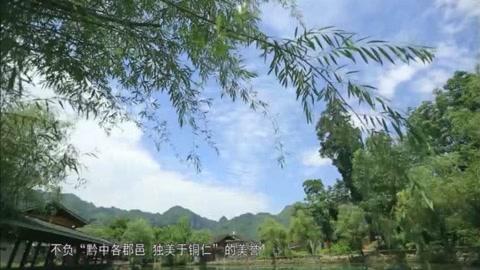 铜仁本地化建设指南,让互联网成为铜仁的未来
