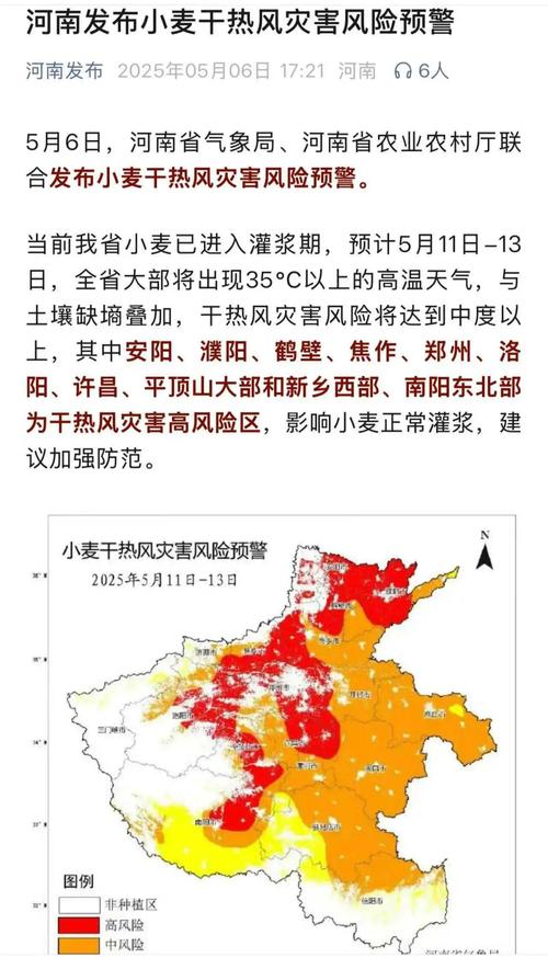 河南疫情最新消息全面解析