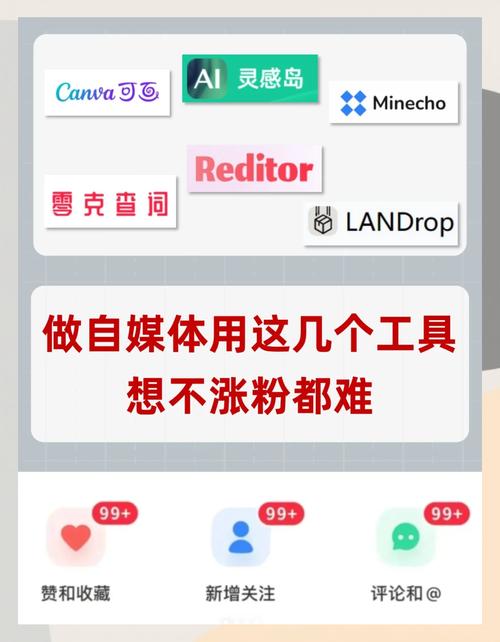 如何在自媒体中脱颖而出？网络词优化必学技巧与工具推荐
