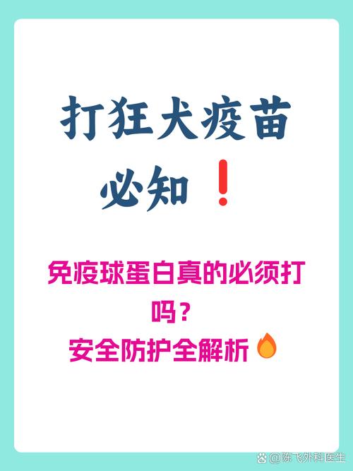 伪狂犬疫情最新消息,你的宠物可能需要及时应对