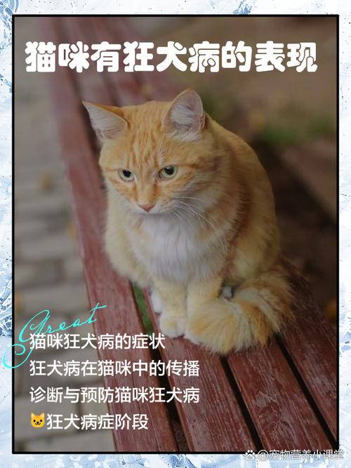 伪狂犬疫情最新消息，你的宠物可能需要及时应对