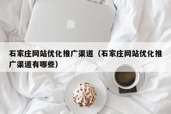 石家庄SEO优化SEO大师
